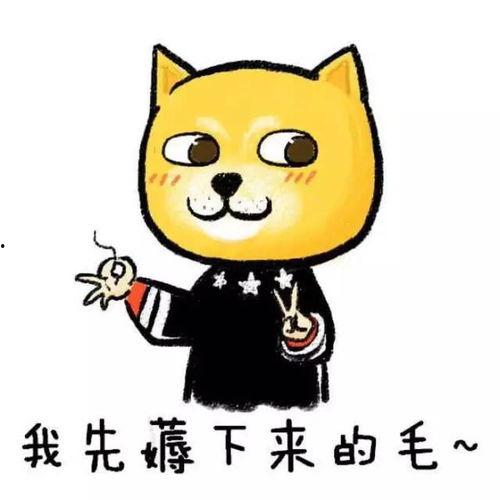 娛樂吃瓜醬短短七個字,娛樂吃瓜醬背后的秘密