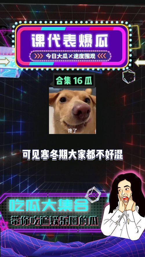 娛樂八卦吃瓜八卦是什么,從吃瓜八卦到幕后真相