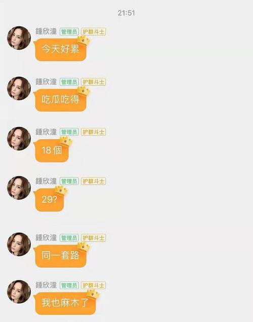 娛樂吃瓜醬 求三角形,揭秘三角形的魅力與奧秘